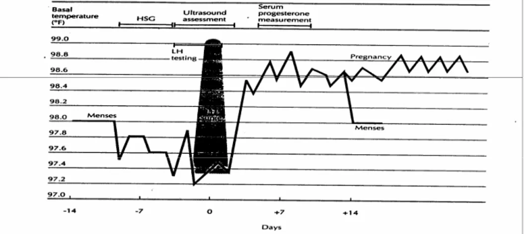 Gambar 5. Tehnik pemeriksaan infertilitas anovulasi (dikutip dari Clinical  Gynecologic, Endocrinology and Infertility, 2005)