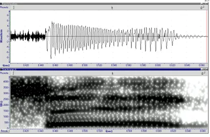 Figure 2.10. Long creaky voice [¾Úÿππ»g¸]. 