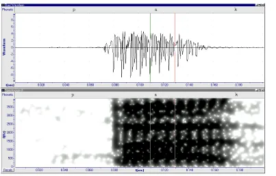 Figure 4.1.  Comparison of [pj] in [pjam] with [p] in [pak]. ÿ