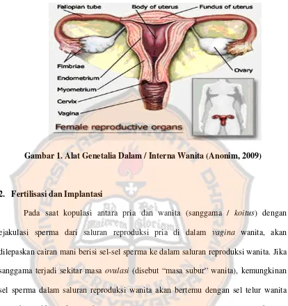 Gambar 1. Alat Genetalia Dalam / Interna Wanita (Anonim, 2009) 
