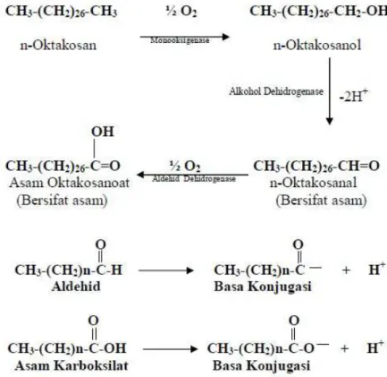 Gambar 4. Reaksi Biodegradasi Alkana  (2)