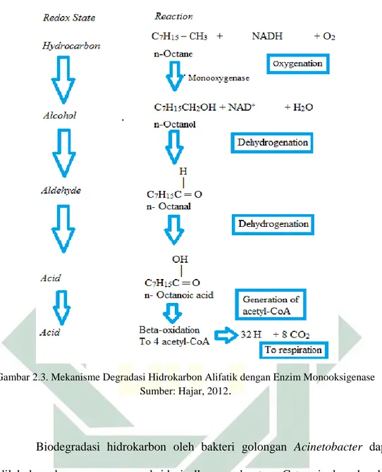 Gambar 2.3. Mekanisme Degradasi Hidrokarbon Alifatik dengan Enzim Monooksigenase  Sumber: Hajar, 2012 