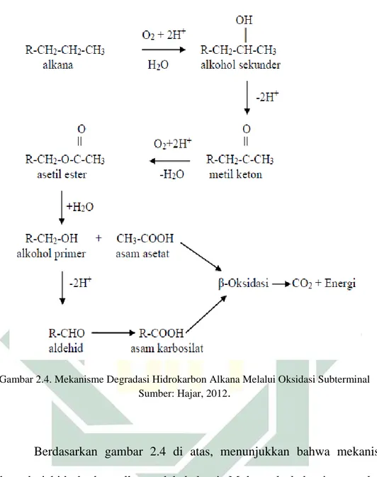 Gambar 2.4. Mekanisme Degradasi Hidrokarbon Alkana Melalui Oksidasi Subterminal  Sumber: Hajar, 2012 