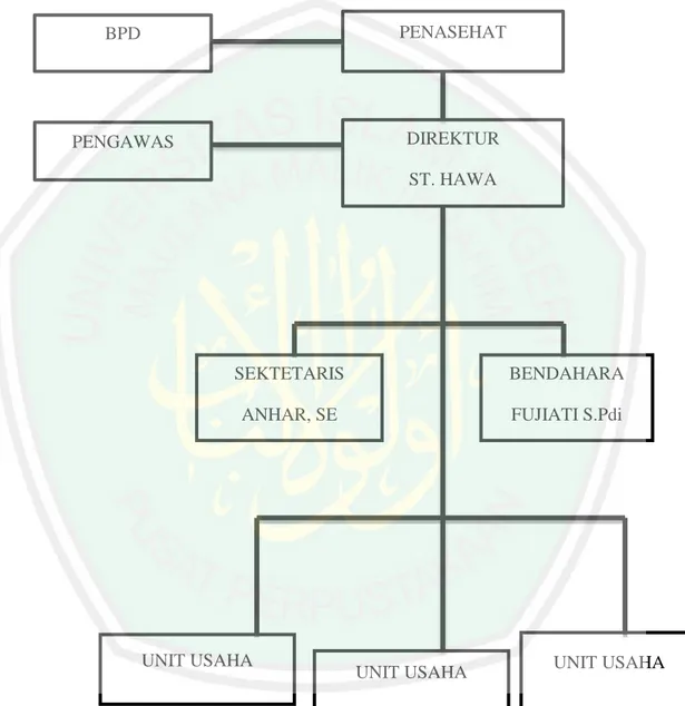 Gambar 10  Struktur Organisasi 