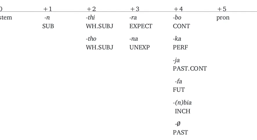 Figure 8. Stative Verb Structure