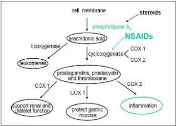 Gambar 2. Mekanisme kerja dari Obat Antiinflamasi Non Steroid dan Obat 