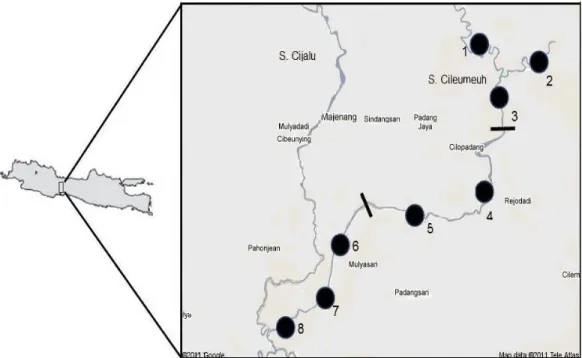 Figure 1.  Sampling sites across Cileumeuh River (108 o ¶ DQG o ¶ o ¶ DQG o ¶    Remarks:  1-8 = sampling site numbers 