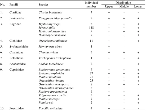 Table 1. Fish species found at Cileumeuh River 