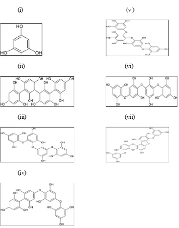 Gambar 1. Struktur floroglusinol (i) dan florotannin [tetrafucol A (ii), tetrafloretol B (iii), fucodiflorethol A (iv), tetrafuhalol A (v), tetraisofuhalol (vi), phlorofucofuroeckol (vii)] (Ragan dan Glombitza, 1986)