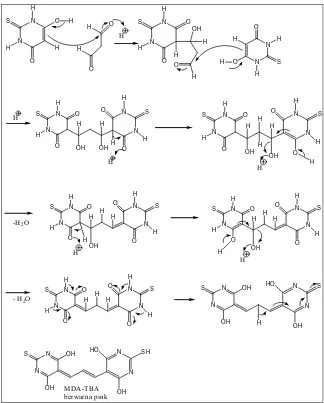 Gambar 10. Reaksi pembentukan enol pada TBA (Purwantoko, 2006) 