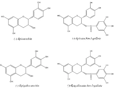 Gambar 1. Struktur epicatechin, epicatechin-3-gallat, epigallocatechin,dan epigallocatechin-3-gallat (Svobodova dkk, 2003) 