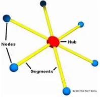 Figure 3 WAN networks form