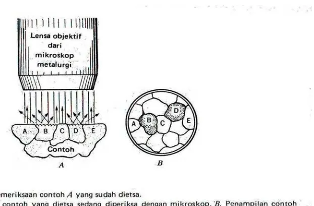 Gambar 2.10 Pengamatan dengan mikroskop (Amstead,B.H.,1993, hal 23) 