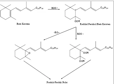 Gambar 4. Penangkapan radikal peroksil (ROO●) oleh β-karoten (Kennedy & Liebler, 1992).