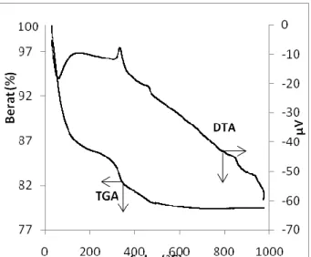 Gambar 1. Kurva TGA dan DTA untuk konsentrasi surfaktan 0,4% w/v 