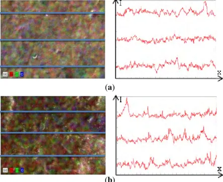 Gambar 4.8  Citra SEM/EDX  dan kurva intensitas  Pixelprofile  pada (a) SA-40 solid, (b) SA-40 likuid