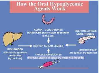 Gambar 2. Mekanisme Kerja Obat Hipoglikemik Oral 