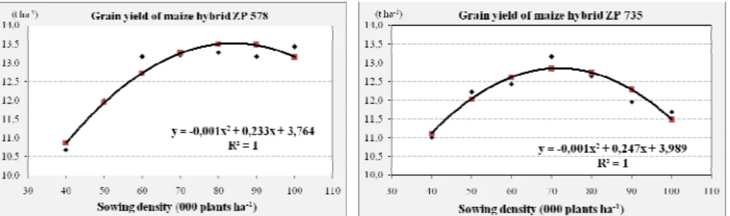 Figure 1 - Dependence of the yield (y) of maize hybrids ZP 578 and ZP 735  on the sowing density (x) 