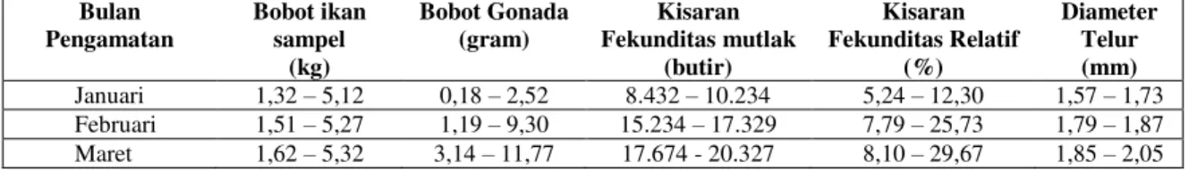Tabel 3.  Fekunditas dan diameter telur ikan toman di perairan rawa Danau Panggang selama  3 bulan pengamatan  Bulan  Pengamatan  Bobot ikan sampel   (kg)  Bobot Gonada (gram)  Kisaran  Fekunditas mutlak (butir)  Kisaran  Fekunditas Relatif (%)  Diameter T