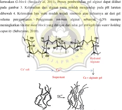 Gambar 3. Proses Pembentukan Gel Oleh Alginat (Susilo et al., 2011) 
