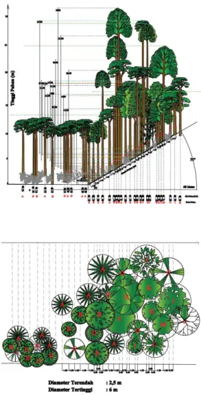 Gambar  1.  Menunjukan  diagram  profil  vegetasi  tipe  komunitas  alami,  dimana  terlihat  masih  cukup  rapat