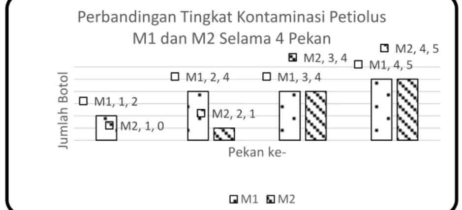 Gambar 2. Histogram perbandingan tingkat kontaminasi petiolus M1 dan M2 selama 4 pekan