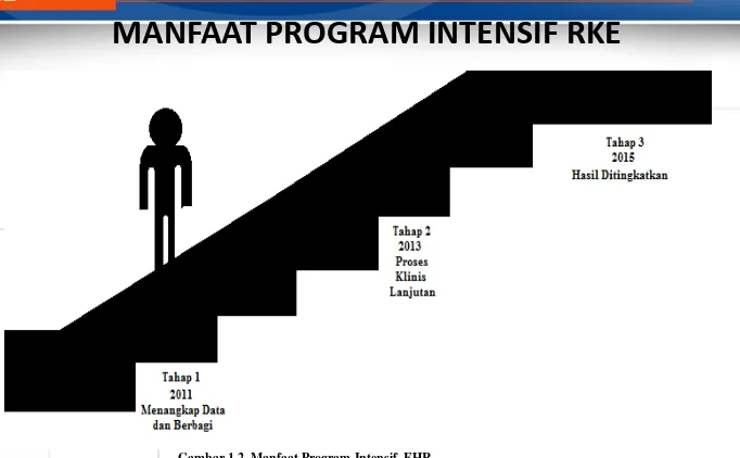 Gambar 1.2. Manfaat Program Intensif  EHR 