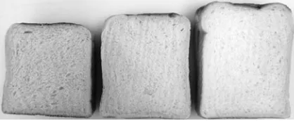 Figure 28.4 Examples of U.K. 800 g sandwich bread. Courtesy of Campden BRI.