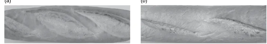 Figure 28.7 Cuts on the surface of French baguettes. (a) Good example; (b) poor example