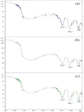 Gambar 3.2 Spektrum  FTIR  HAp  hasil  sintesis,  suhu  reaksi  140°C  dengan  variasi  rasio  Ca/P  (a)1,61 (b)1,67 dan (c)1,73