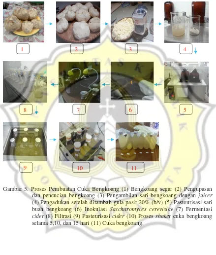 Gambar 5. Proses Pembuatan Cuka Bengkoang (1) Bengkoang segar (2) Pengupasan 