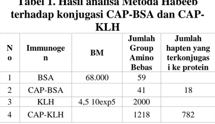 Tabel 1. Hasil analisa Metoda Habeeb terhadap konjugasi BSA dan 