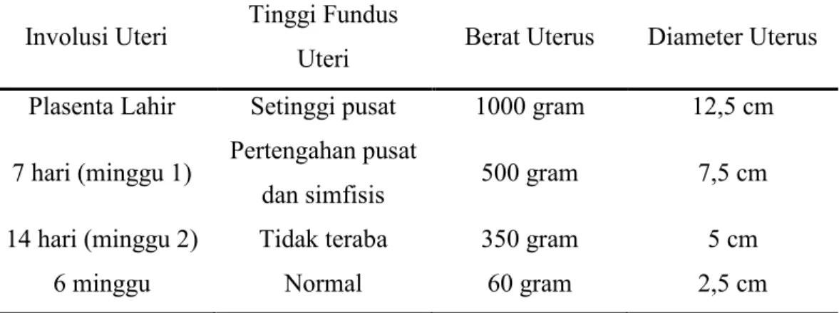 Tabel 2.6 Involusi Uterus