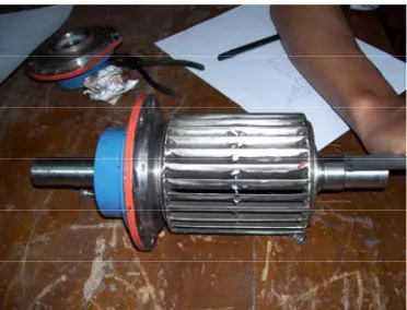 Gambar 2.2  Runner dari Cihanjuang 