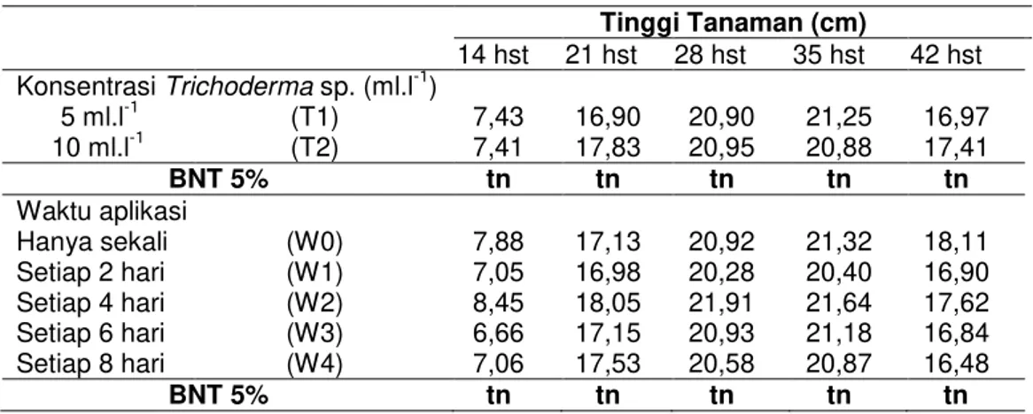 Tabel  5  Tinggi  tanaman  kentang  akibat  konsentrasi  Trichoderma  sp.  dan  waktu  aplikasi  pada  berbagai tingkat  Tinggi Tanaman (cm)   14 hst   21 hst   28 hst   35 hst      42 hst  Konsentrasi Trichoderma sp