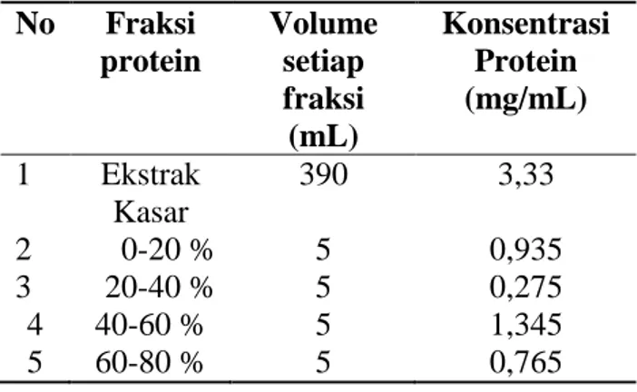 Tabel  1.  Data  hasil  penentuan  konsentrasi  protein  dan  total  protein  pada  ekstrak  kasar  dan  fraksi  protein  pada  berbagai  tingkat  kejenuhan  Amonium  sulfat  dari  Alga  cokelat  Padina australis  No  Fraksi  protein  Volume setiap  fraksi