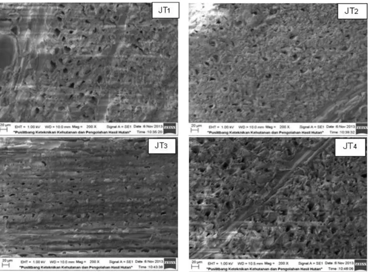 Gambar 7 Gambaran hasil scanning electron microscopy pada permukaan lintang sampel kayu dengan perbesaran 200 x