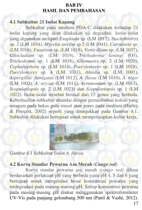Gambar 4.1 Subkultur Isolat A. flavus. 