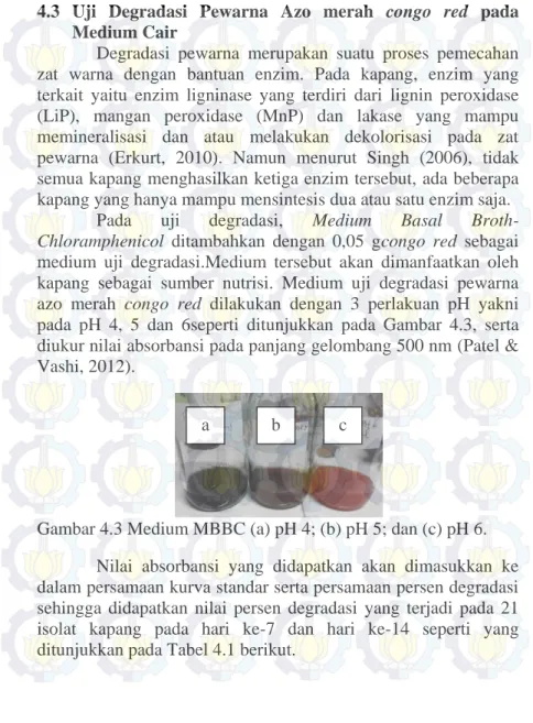 Gambar 4.3 Medium MBBC (a) pH 4; (b) pH 5; dan (c) pH 6. 