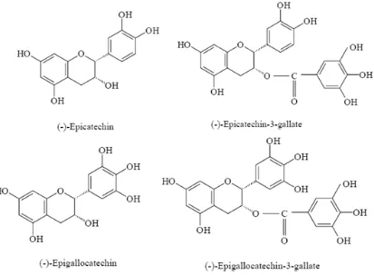 Gambar 1.  Struktur Epikatekin, Epikatekin-3-Galat, Epigalokatekin, dan Epigalokatekin-3-Galat (Svobodova et al., 2003) 