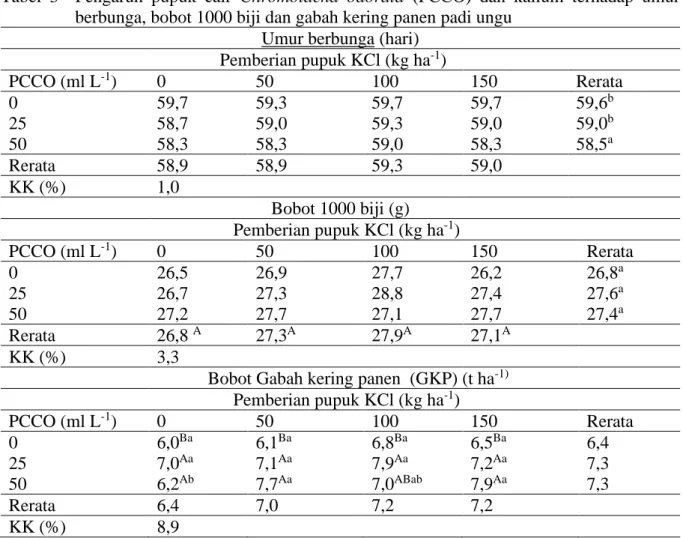 Tabel  3    Pengaruh  pupuk  cair  Chromolaena  odorata  (PCCO)  dan  kalium  terhadap  umur  berbunga, bobot 1000 biji dan gabah kering panen padi ungu 