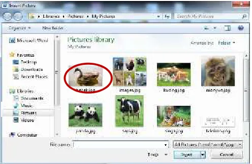 Gambar 1.15 Jendela Picture library