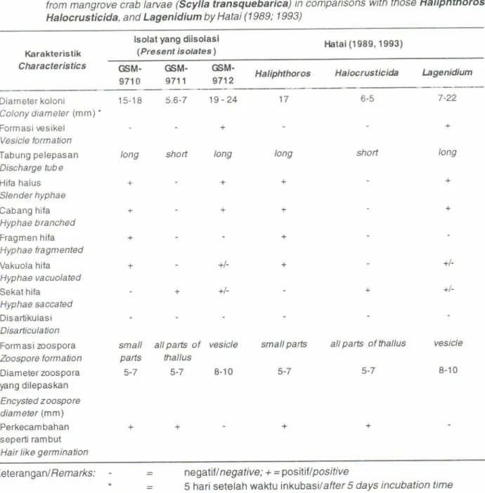 Tabel  1.  Perbedaan  karakter  ketiga  isolat  jamurGSM-9710,  GSM-9711,  dan  GSM-97'l2yangdiisolasidari larua  kepiting bakau dibandingkan  dengan  Haliphthoros,  Halocrusticida,dan  Lagenidiummenurul Hatai  (1989;  1993)