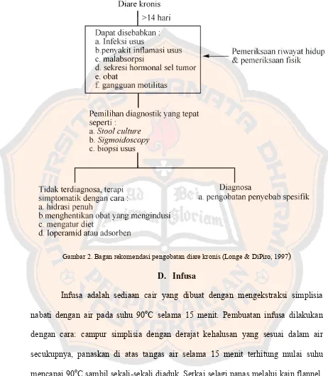 Gambar 2. Bagan rekomendasi pengobatan diare kronis (Longe & DiPiro, 1997) 