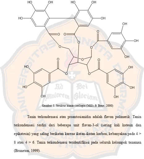 Gambar 5. Struktur kimia corilagin (Mills & Bone, 2000) 