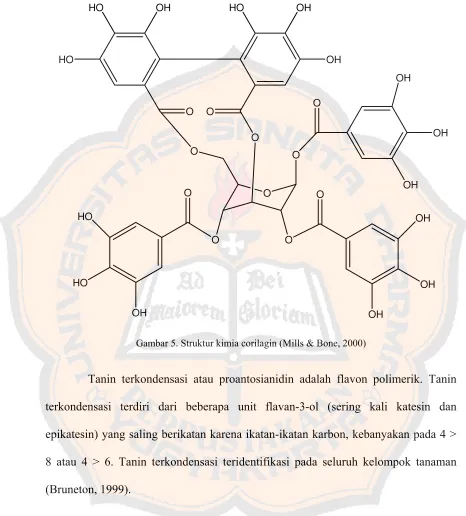 Gambar 5. Struktur kimia corilagin (Mills & Bone, 2000) 