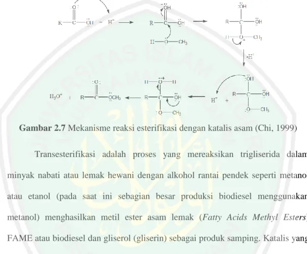 Gambar 2.7 Mekanisme reaksi esterifikasi dengan katalis asam (Chi, 1999)   Transesterifikasi  adalah  proses  yang  mereaksikan  trigliserida  dalam  minyak  nabati  atau  lemak  hewani  dengan  alkohol  rantai  pendek  seperti  metanol  atau  etanol  (pad