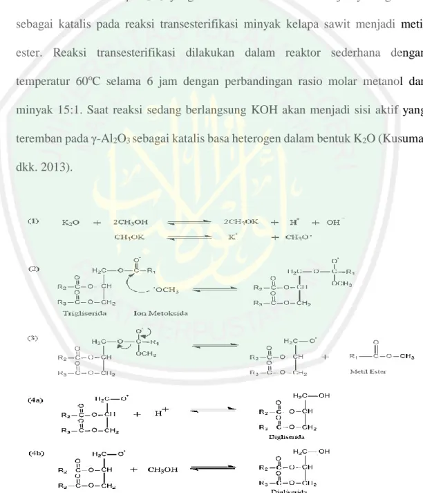 Gambar 4.3   Dugaan  mekanisme  reaksi  transesterifikasi  dengan  katalis  basa  heterogen mengacu pada penelitian Kusuma, dkk (2013)