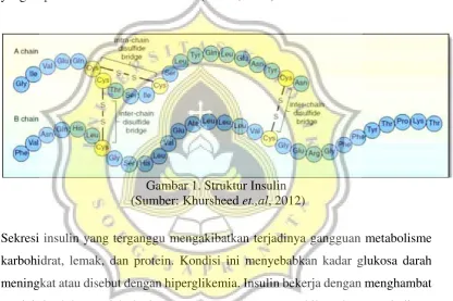 Gambar 1. Struktur Insulin 