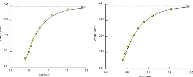 Gambar 3.   Kurva Pola Pertumbuhan O.marmorata di inlet (b) dan outlet (c) Waduk Sempor Kebumen